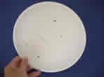 Orion outline on plate